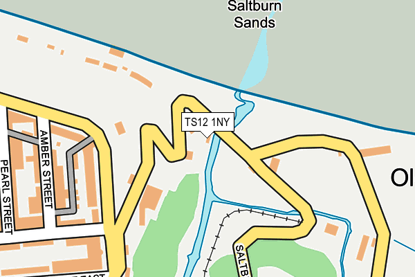TS12 1NY map - OS OpenMap – Local (Ordnance Survey) TS12 1NY map - OS OpenMap – Local (Ordnance Survey)