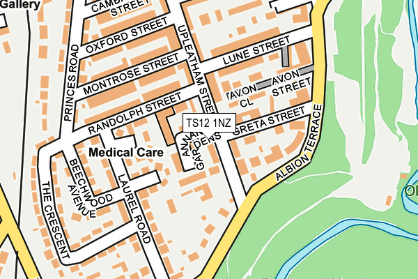TS12 1NZ map - OS OpenMap – Local (Ordnance Survey) TS12 1NZ map - OS OpenMap – Local (Ordnance Survey)
