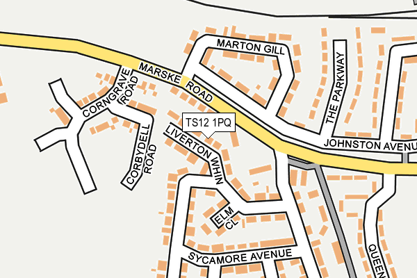 TS12 1PQ map - OS OpenMap – Local (Ordnance Survey) TS12 1PQ map - OS OpenMap – Local (Ordnance Survey)
