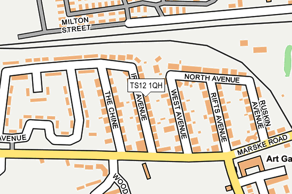 TS12 1QH map - OS OpenMap – Local (Ordnance Survey) TS12 1QH map - OS OpenMap – Local (Ordnance Survey)