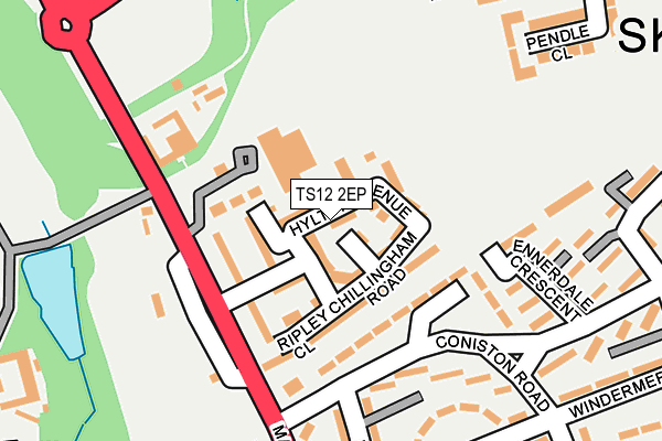 TS12 2EP map - OS OpenMap – Local (Ordnance Survey) TS12 2EP map - OS OpenMap – Local (Ordnance Survey)