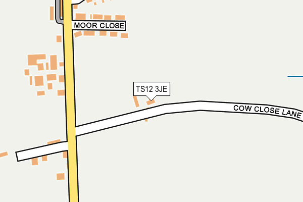 TS12 3JE map - OS OpenMap – Local (Ordnance Survey) TS12 3JE map - OS OpenMap – Local (Ordnance Survey)