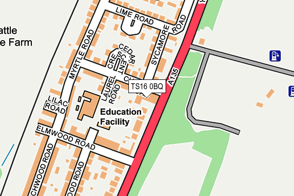 TS16 0BQ map - OS OpenMap – Local (Ordnance Survey) TS16 0BQ map - OS OpenMap – Local (Ordnance Survey)