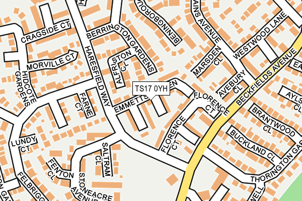 TS17 0YH map - OS OpenMap – Local (Ordnance Survey) TS17 0YH map - OS OpenMap – Local (Ordnance Survey)