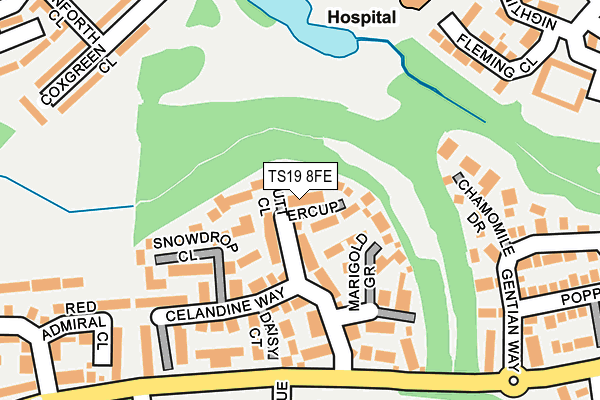 TS19 8FE map - OS OpenMap – Local (Ordnance Survey) TS19 8FE map - OS OpenMap – Local (Ordnance Survey)