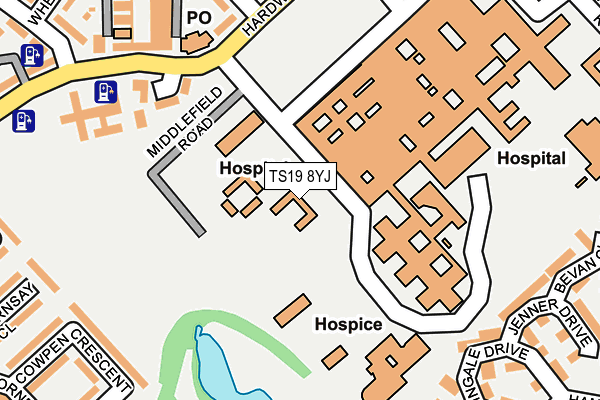 TS19 8YJ map - OS OpenMap – Local (Ordnance Survey) TS19 8YJ map - OS OpenMap – Local (Ordnance Survey)