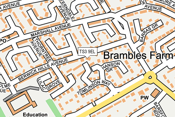 TS3 9EL map - OS OpenMap – Local (Ordnance Survey) TS3 9EL map - OS OpenMap – Local (Ordnance Survey)