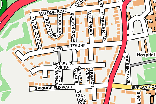 TS5 4NE map - OS OpenMap – Local (Ordnance Survey) TS5 4NE map - OS OpenMap – Local (Ordnance Survey)
