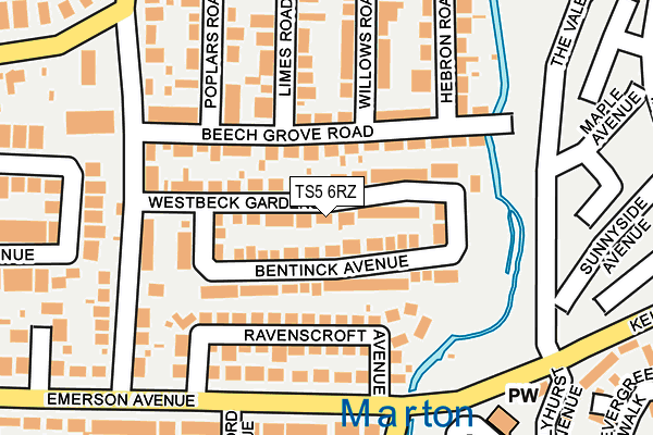 TS5 6RZ map - OS OpenMap – Local (Ordnance Survey)