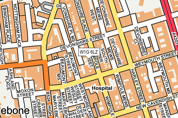 W1G 6LZ map - OS OpenMap – Local (Ordnance Survey) W1G 6LZ map - OS OpenMap – Local (Ordnance Survey)