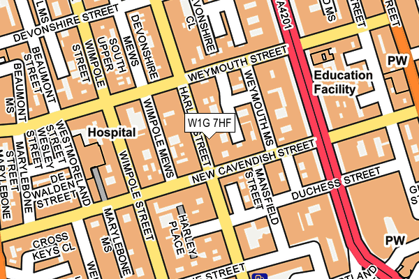 W1G 7HF map - OS OpenMap – Local (Ordnance Survey) W1G 7HF map - OS OpenMap – Local (Ordnance Survey)