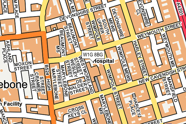W1G 8BG map - OS OpenMap – Local (Ordnance Survey) W1G 8BG map - OS OpenMap – Local (Ordnance Survey)