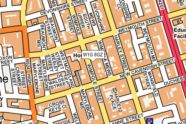 W1G 8GZ map - OS OpenMap – Local (Ordnance Survey) W1G 8GZ map - OS OpenMap – Local (Ordnance Survey)