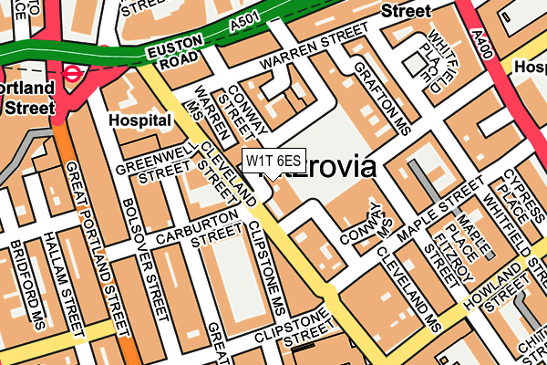 W1T 6ES map - OS OpenMap – Local (Ordnance Survey)