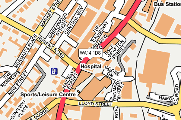 WA14 1DS map - OS OpenMap – Local (Ordnance Survey) WA14 1DS map - OS OpenMap – Local (Ordnance Survey)