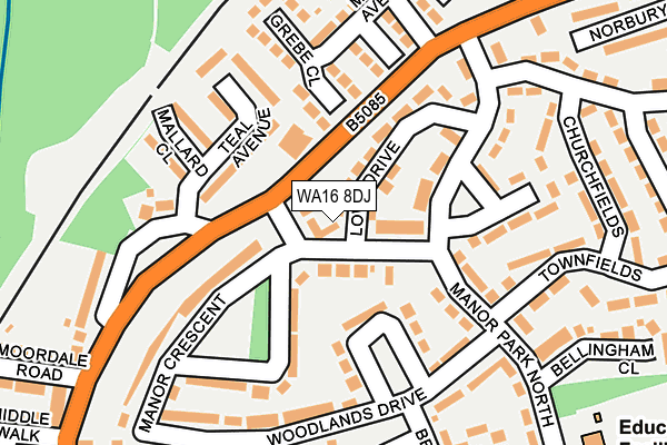 WA16 8DJ map - OS OpenMap – Local (Ordnance Survey) WA16 8DJ map - OS OpenMap – Local (Ordnance Survey)