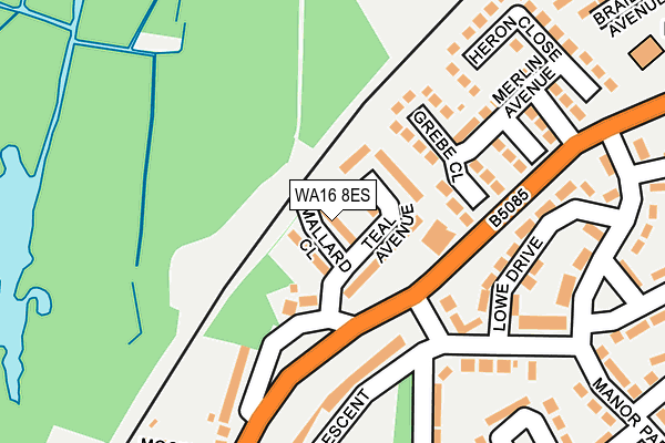 WA16 8ES map - OS OpenMap – Local (Ordnance Survey) WA16 8ES map - OS OpenMap – Local (Ordnance Survey)