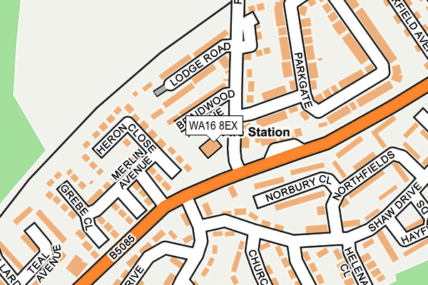 WA16 8EX map - OS OpenMap – Local (Ordnance Survey) WA16 8EX map - OS OpenMap – Local (Ordnance Survey)