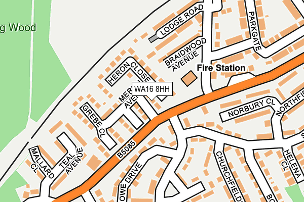 WA16 8HH map - OS OpenMap – Local (Ordnance Survey)