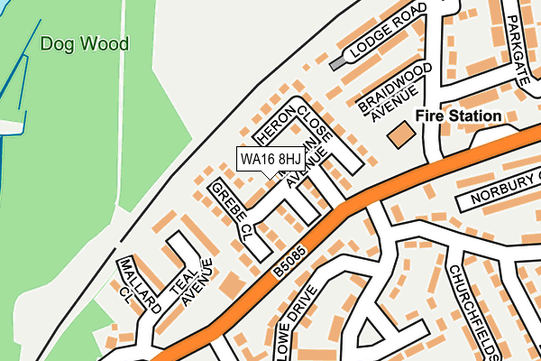 WA16 8HJ map - OS OpenMap – Local (Ordnance Survey)