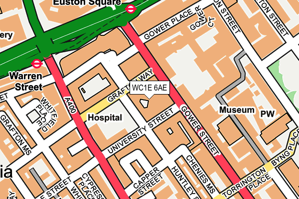 WC1E 6AE map - OS OpenMap – Local (Ordnance Survey) WC1E 6AE map - OS OpenMap – Local (Ordnance Survey)