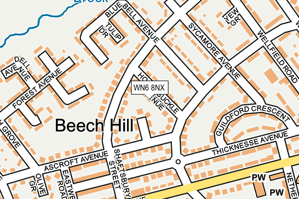 WN6 8NX map - OS OpenMap – Local (Ordnance Survey)