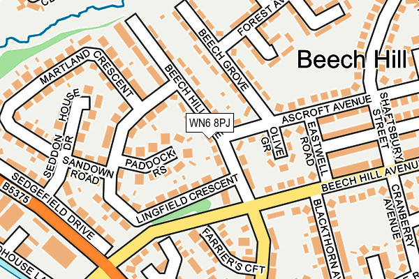 WN6 8PJ map - OS OpenMap – Local (Ordnance Survey)