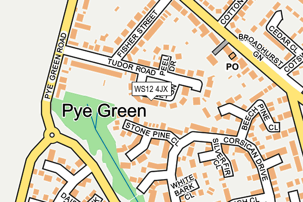 WS12 4JX map - OS OpenMap – Local (Ordnance Survey) WS12 4JX map - OS OpenMap – Local (Ordnance Survey)