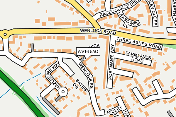 WV16 5AQ map - OS OpenMap – Local (Ordnance Survey)