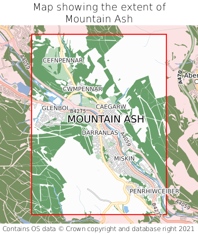 Map showing extent of Mountain Ash as bounding box