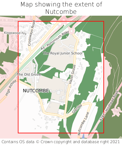 Map showing extent of Nutcombe as bounding box