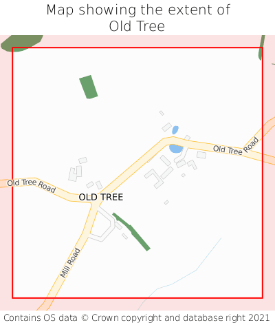 Map showing extent of Old Tree as bounding box
