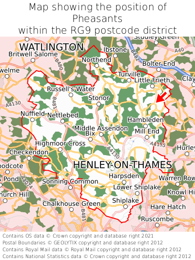 Map showing location of Pheasants within RG9