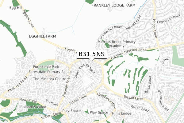 B31 5NS map - small scale - OS Open Zoomstack (Ordnance Survey)