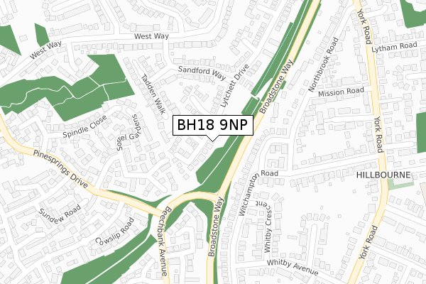 BH18 9NP map - large scale - OS Open Zoomstack (Ordnance Survey)