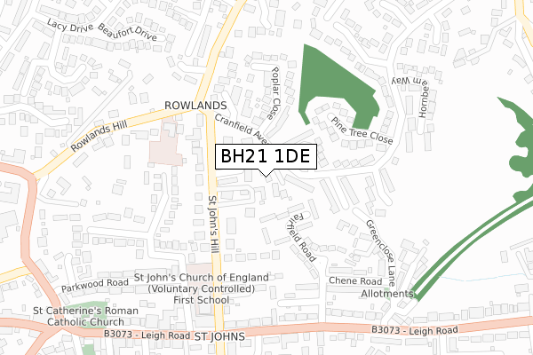 BH21 1DE map - large scale - OS Open Zoomstack (Ordnance Survey)