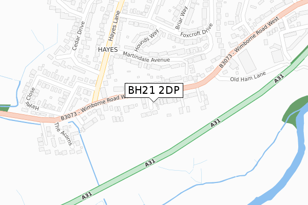 BH21 2DP map - large scale - OS Open Zoomstack (Ordnance Survey)