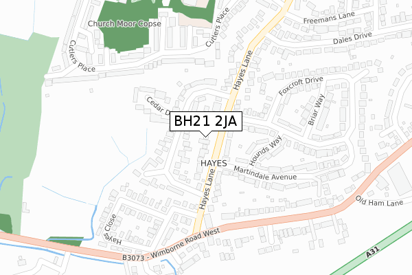 BH21 2JA map - large scale - OS Open Zoomstack (Ordnance Survey)