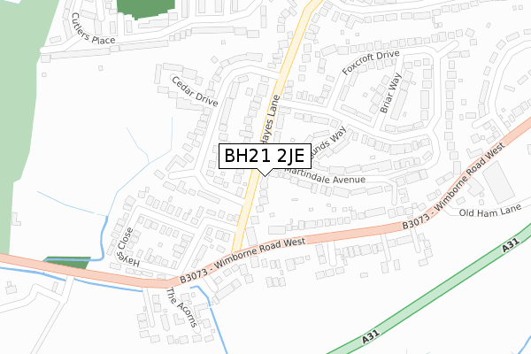 BH21 2JE map - large scale - OS Open Zoomstack (Ordnance Survey)