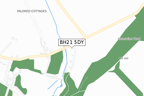 BH21 5DY map - large scale - OS Open Zoomstack (Ordnance Survey)