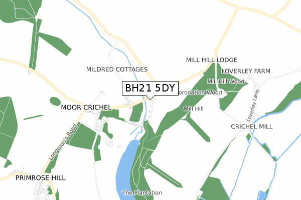 BH21 5DY map - small scale - OS Open Zoomstack (Ordnance Survey)
