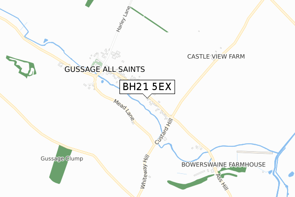 BH21 5EX map - small scale - OS Open Zoomstack (Ordnance Survey)