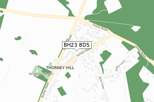 BH23 8DS map - large scale - OS Open Zoomstack (Ordnance Survey)