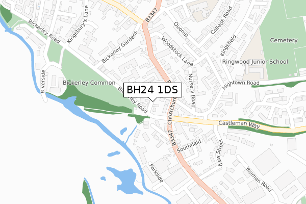 BH24 1DS map - large scale - OS Open Zoomstack (Ordnance Survey)