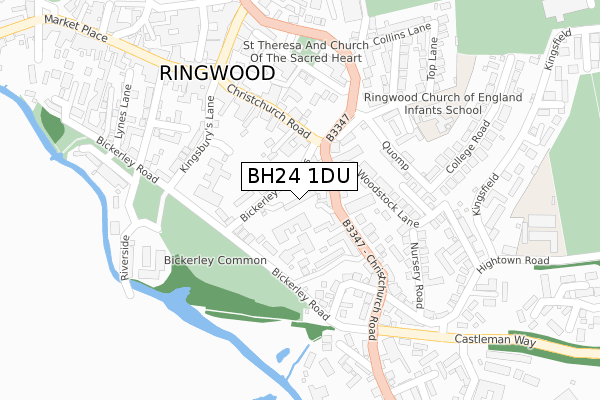 BH24 1DU map - large scale - OS Open Zoomstack (Ordnance Survey)