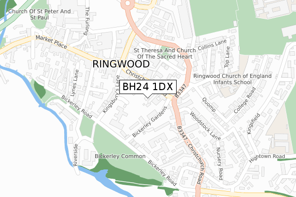 BH24 1DX map - large scale - OS Open Zoomstack (Ordnance Survey)