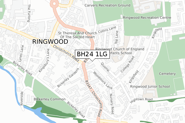 BH24 1LG map - large scale - OS Open Zoomstack (Ordnance Survey)