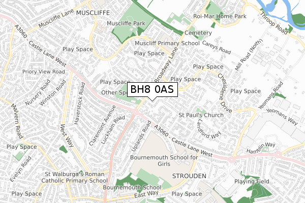 BH8 0AS map - small scale - OS Open Zoomstack (Ordnance Survey)