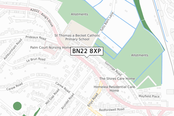 BN22 8XP map - large scale - OS Open Zoomstack (Ordnance Survey)