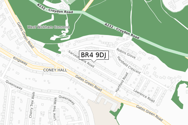 BR4 9DJ map - large scale - OS Open Zoomstack (Ordnance Survey)